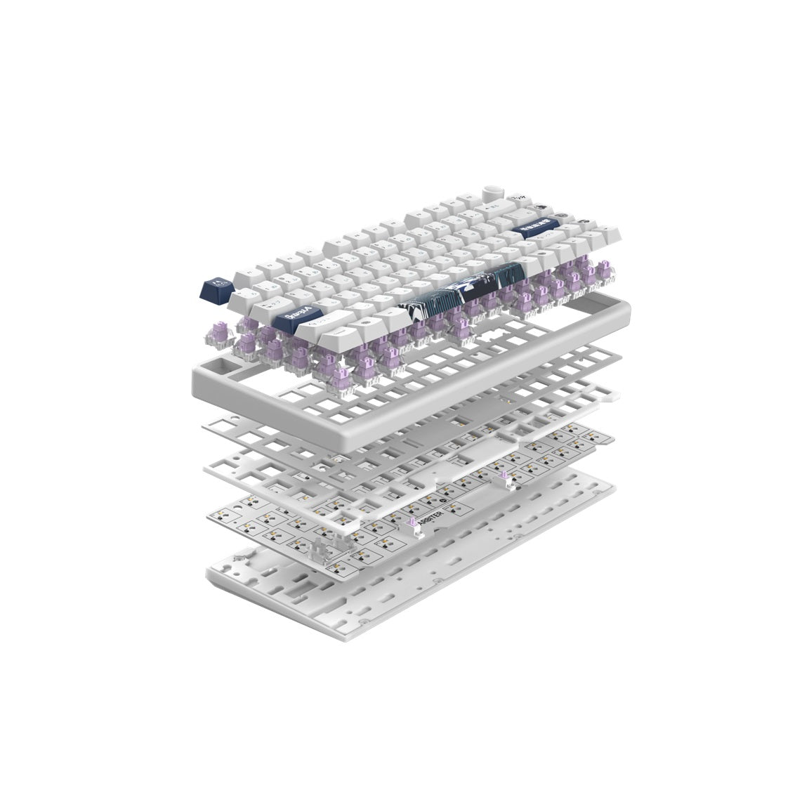 哥吉拉 vs Arbiter Studio Polar 75 Pro 磁軸機械式鍵盤