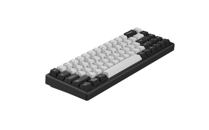 Arbiter Studio Polar 65+ 磁軸機械式鍵盤【混搭鍵帽 (黑框)】