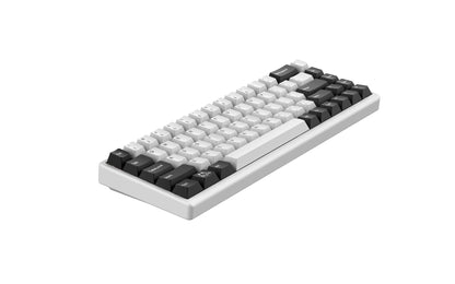 Arbiter Studio Polar 65+ 磁軸機械式鍵盤【混搭鍵帽 (白框)】